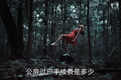 公房使用權(quán)轉(zhuǎn)讓需要交什么錢(qián)，公租房使用權(quán)交易如何收費(fèi)