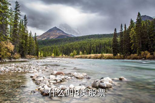 分級股b什么意思，分級基金b和b股一樣嗎