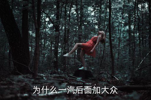 為什么一汽后面加大眾