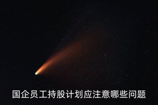 國企員工持股計劃應注意哪些問題