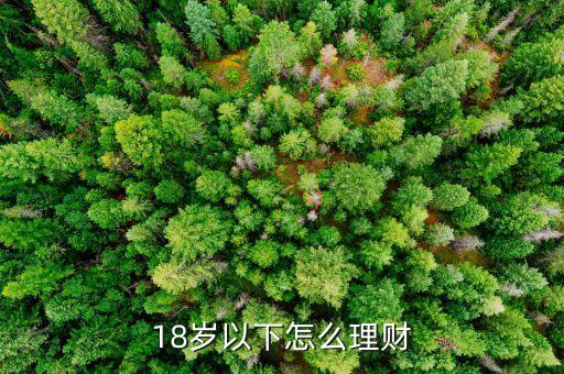 十八歲可以用錢投資什么，18歲少女適合投資什么工作