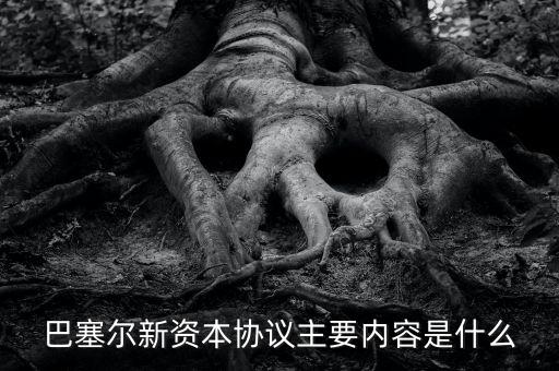 新資本協(xié)議是什么，新巴塞爾資本協(xié)議的介紹