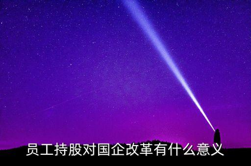 國(guó)企改革職工入股應(yīng)注意什么，國(guó)企員工持股計(jì)劃應(yīng)注意哪些問(wèn)題