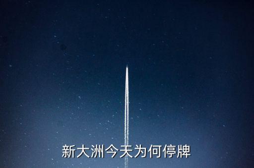 新大州a什么時候復牌，公告出來了請懂行的解釋一下什么時候可以復牌
