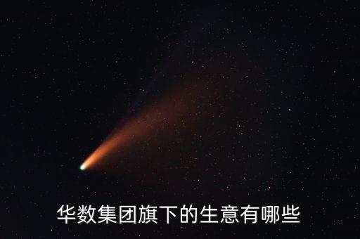 華數集團旗下的生意有哪些