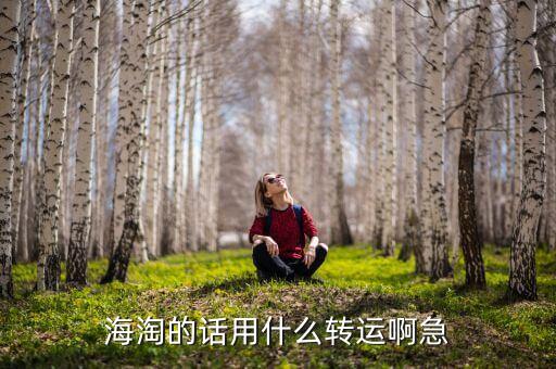 惠惠海淘用的什么轉(zhuǎn)運，海淘的話用什么轉(zhuǎn)運啊急