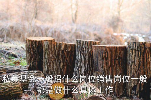 私募公司的市場部做什么，投資公司的市場部職員主要做什么
