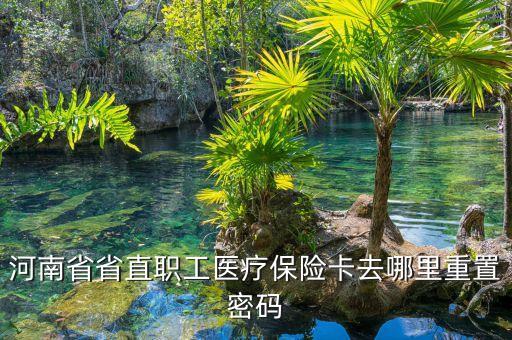比特幣為什么這么紅，河南省省直職工醫(yī)療保險(xiǎn)卡去哪里重置密碼