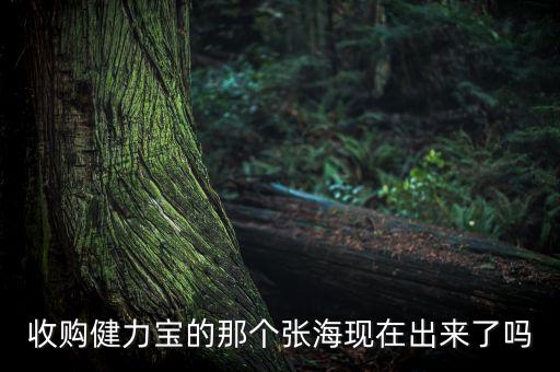 收購(gòu)健力寶的那個(gè)張海現(xiàn)在出來(lái)了嗎