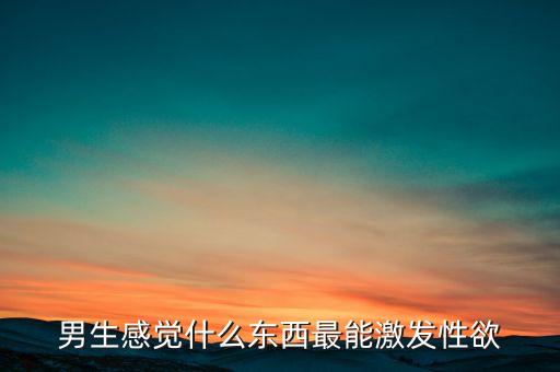 性趣引擎什么東西，引擎是什么東西啊