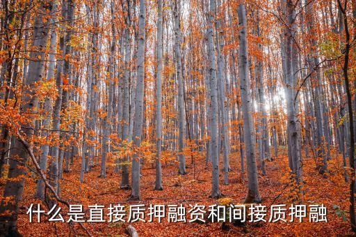 什么是間接擔保，什么是直接質(zhì)押融資和間接質(zhì)押融