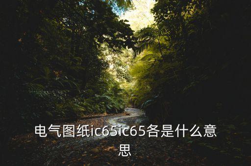 電氣圖紙ic65ic65各是什么意思
