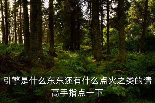引擎是什么東東還有什么點(diǎn)火之類的請高手指點(diǎn)一下