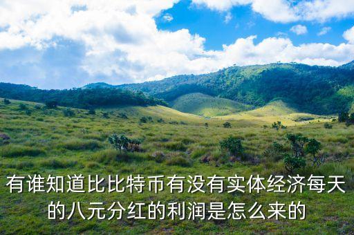 有誰知道比比特幣有沒有實(shí)體經(jīng)濟(jì)每天的八元分紅的利潤是怎么來的