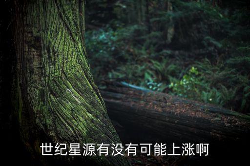 世紀(jì)星源股為什么不會漲，世紀(jì)星源有沒有可能上漲啊