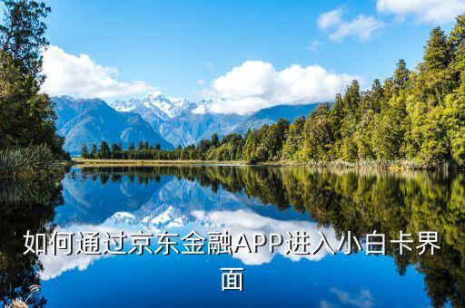 登陸京東金融后進(jìn)入什么頁面，京東金融app借錢界面在哪里啊