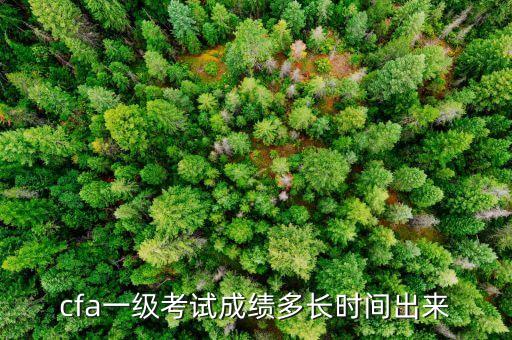 cfa一級(jí)成績什么時(shí)候出來，CFA多久可以知道成績