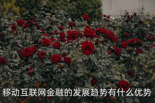 移動金融技術(shù)創(chuàng)新應(yīng)以什么為底線，移動互聯(lián)網(wǎng)金融的發(fā)展趨勢有什么優(yōu)勢