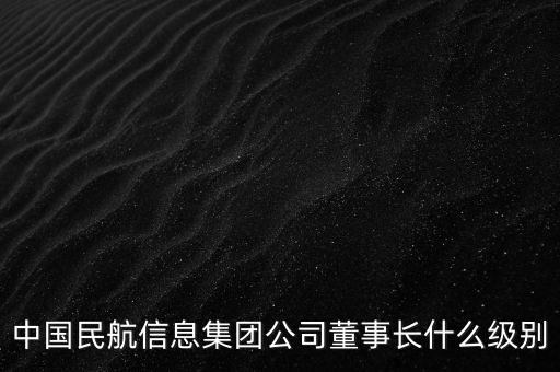 中國民航信息集團(tuán)公司董事長什么級別