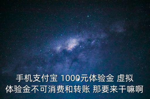 手機支付寶 1000元體驗金 虛擬體驗金不可消費和轉賬 那要來干嘛啊