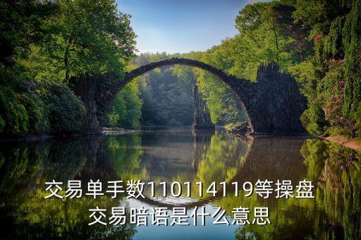 119是什么盤口暗號(hào)，交易單手?jǐn)?shù)110114119等操盤交易暗語是什么意思