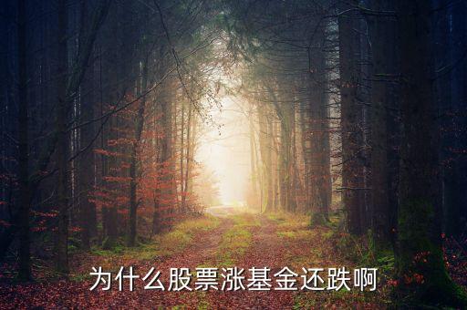 為什么股票漲基金跌，為什么上證指數(shù)漲了我的基金卻跌了