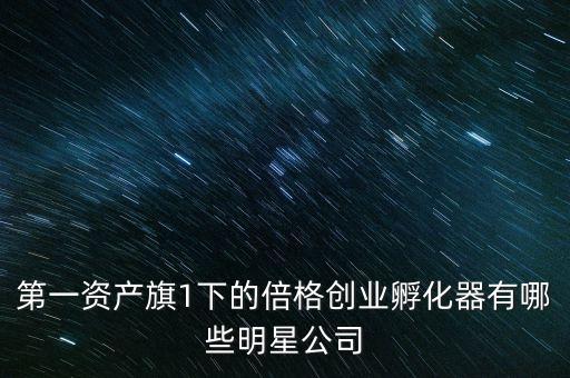 第一資產(chǎn)旗1下的倍格創(chuàng)業(yè)孵化器有哪些明星公司
