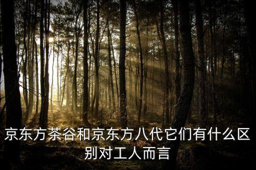 京東方8代什么意思，京東方茶谷和京東方八代它們有什么區(qū)別對(duì)工人而言