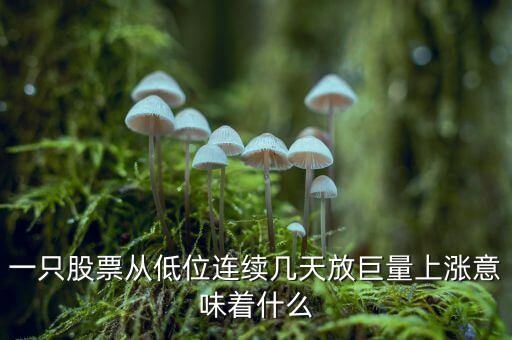 一只股票從低位連續(xù)幾天放巨量上漲意味著什么