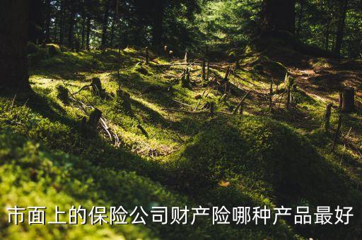國外財險公司什么險種最火，市面上的保險公司財產(chǎn)險哪種產(chǎn)品最好