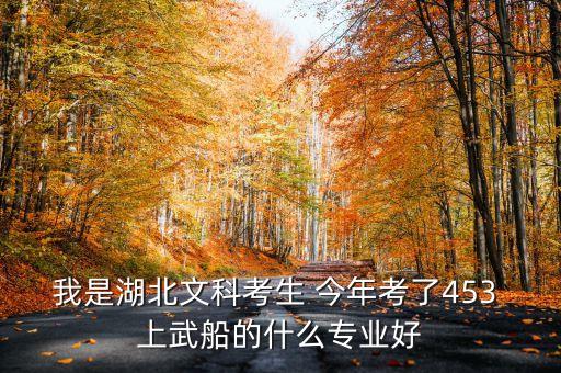 我是湖北文科考生 今年考了453 上武船的什么專(zhuān)業(yè)好