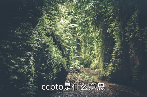 ccpto是什么意思