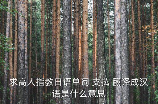 求高人指教日語單詞 支払 翻譯成漢語是什么意思