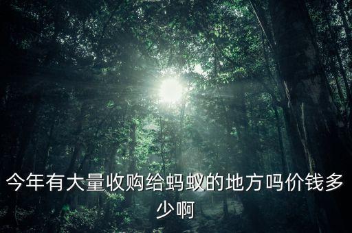什么地方收購螞蟻，什么地方收購黃螞蟻