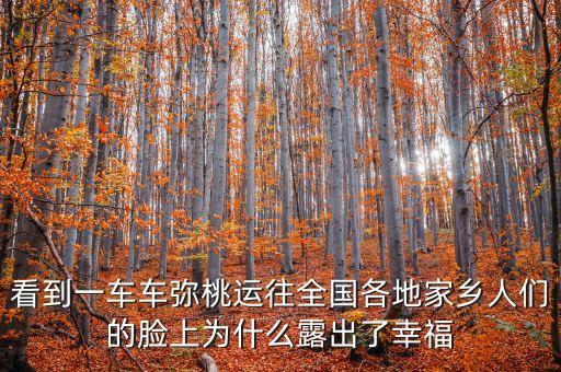 看到一車車彌桃運往全國各地家鄉(xiāng)人們的臉上為什么露出了幸福