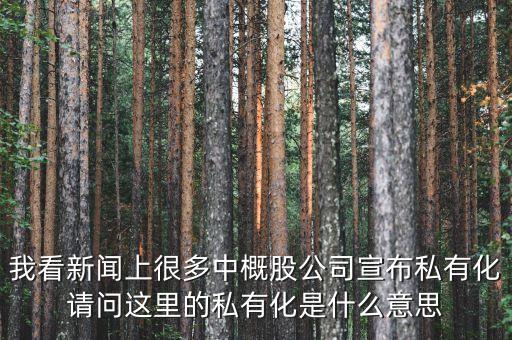 我看新聞上很多中概股公司宣布私有化請問這里的私有化是什么意思