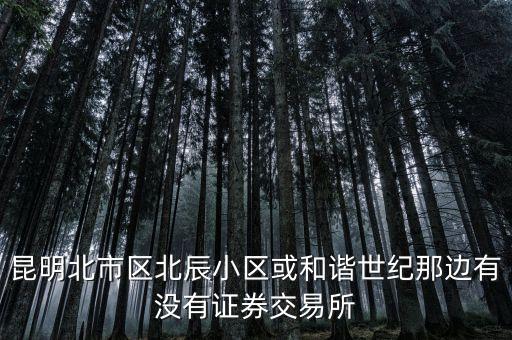 昆明北市區(qū)北辰小區(qū)或和諧世紀那邊有沒有證券交易所