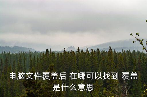 首次覆蓋是什么意思，首次覆蓋給予買入評(píng)級(jí) 什么意思