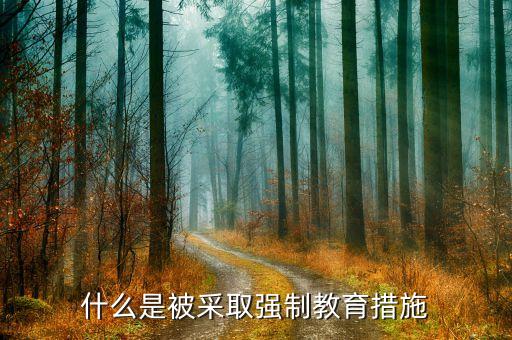 被檢方采取強(qiáng)制措施指的什么，法院在取保候?qū)徶袑懖扇?qiáng)制措施是什么意思