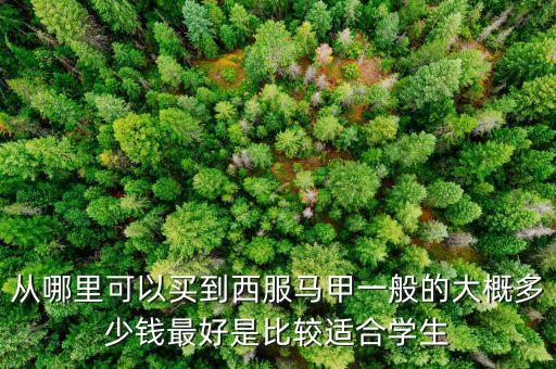 什么牌子賣西裝馬甲，什么牌子的西裝馬甲好