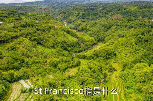 st戰(zhàn)略是什么，ST戰(zhàn)略是什么意思