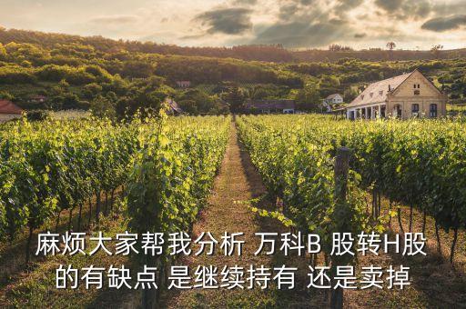 麻煩大家?guī)臀曳治?萬科B 股轉(zhuǎn)H股的有缺點 是繼續(xù)持有 還是賣掉