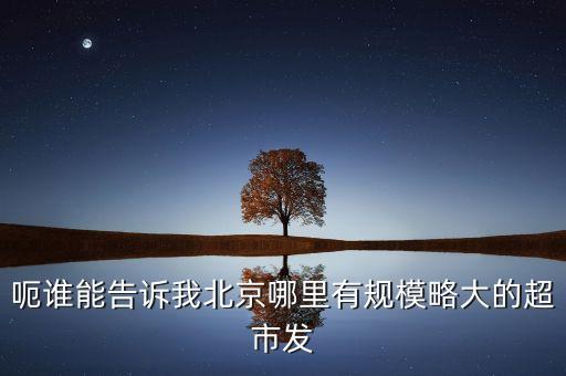 北京超市發(fā)有什么部門(mén)，呃誰(shuí)能告訴我北京哪里有規(guī)模略大的超市發(fā)