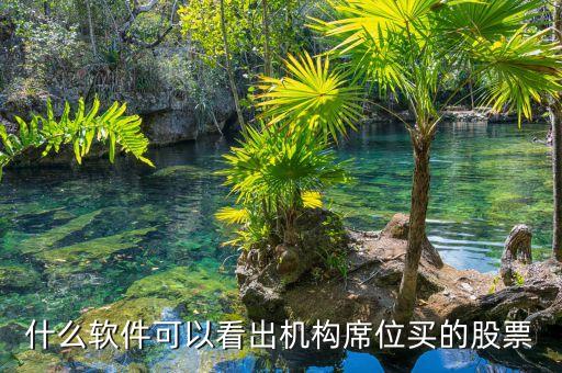 什么軟件可以看到股票是由什么機(jī)構(gòu)買進(jìn)，用什么軟件可以看到買入股票的 機(jī)構(gòu)名稱