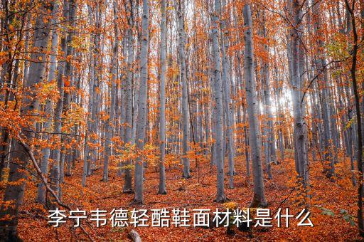 主角鋁材什么價(jià)格，沉默是金 議論文 求材料