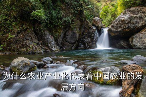 為什么要農(nóng)業(yè)產(chǎn)業(yè)化，為什么要提倡公司基地農(nóng)戶的產(chǎn)業(yè)化模式