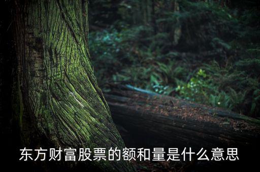 股票中的量和額是什么意思，東方財富股票的額和量是什么意思