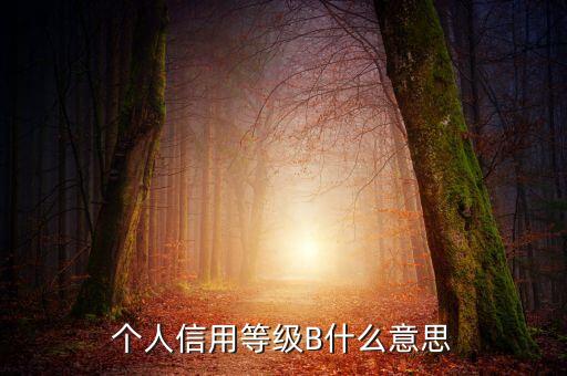 征信報(bào)告b級(jí)什么意思，中國(guó)人民銀行信用卡信用報(bào)告B級(jí)綜和評(píng)分837分啥意思