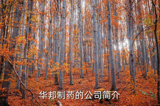 華邦制藥有什么產(chǎn)品，華邦制藥的企業(yè)理念