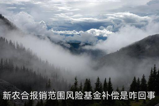 什么是政府風(fēng)險(xiǎn)補(bǔ)償基金，政府風(fēng)險(xiǎn)補(bǔ)償基金屬于哪個(gè)企業(yè)會(huì)計(jì)科目